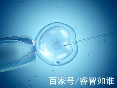 关于供卵代怀代生机构